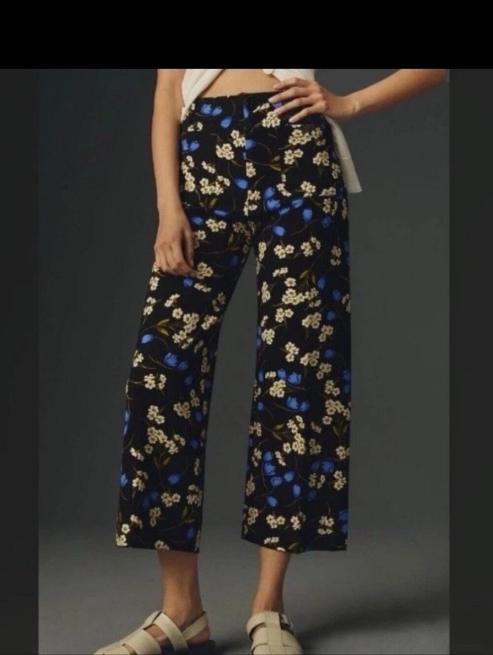 Maeve Colette Black Floral Wide Leg Cropped Pants 26